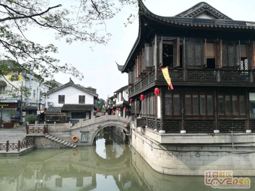 拯救精灵的土地8